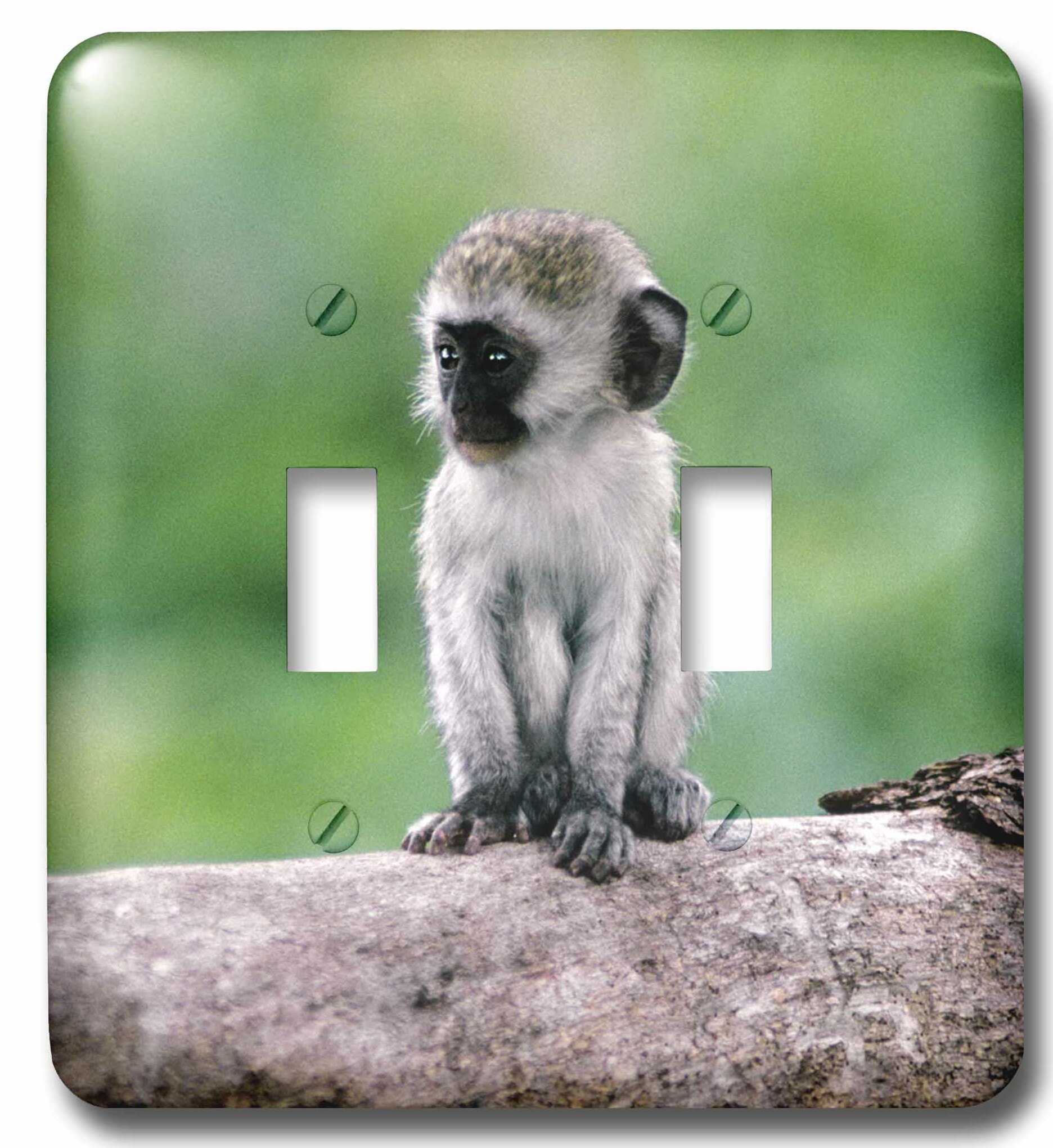 3drose Tanzania Ngorongoro Crate Wild Vervet Monkey Baby 2 Gang Toggle Light Switch Wall Plate Wayfair