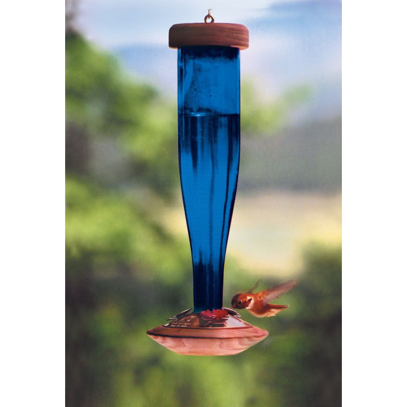 Schrodt Lantern Hummingbird Feeder Reviews Wayfair
