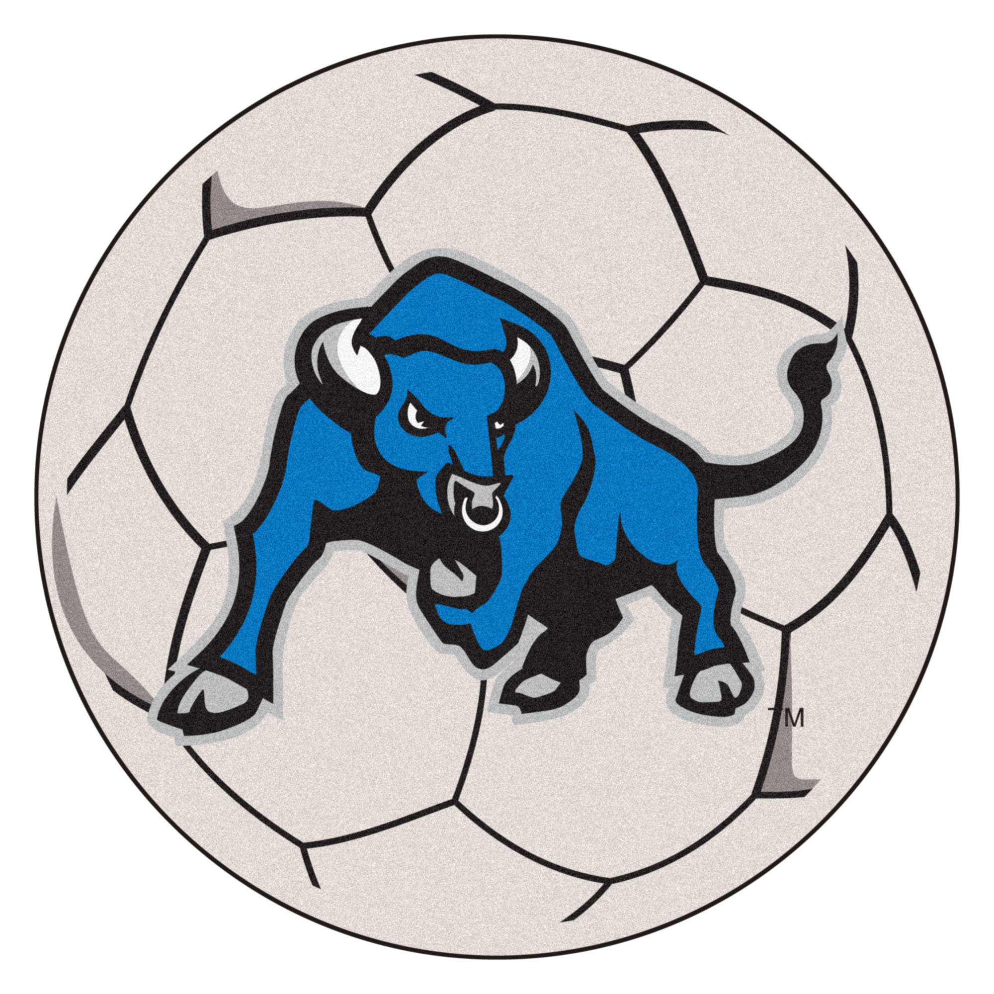 Fanmats State University Of New York At Buffalo 29 In X 29 In Non Slip Indoor Only Door Mat Wayfair