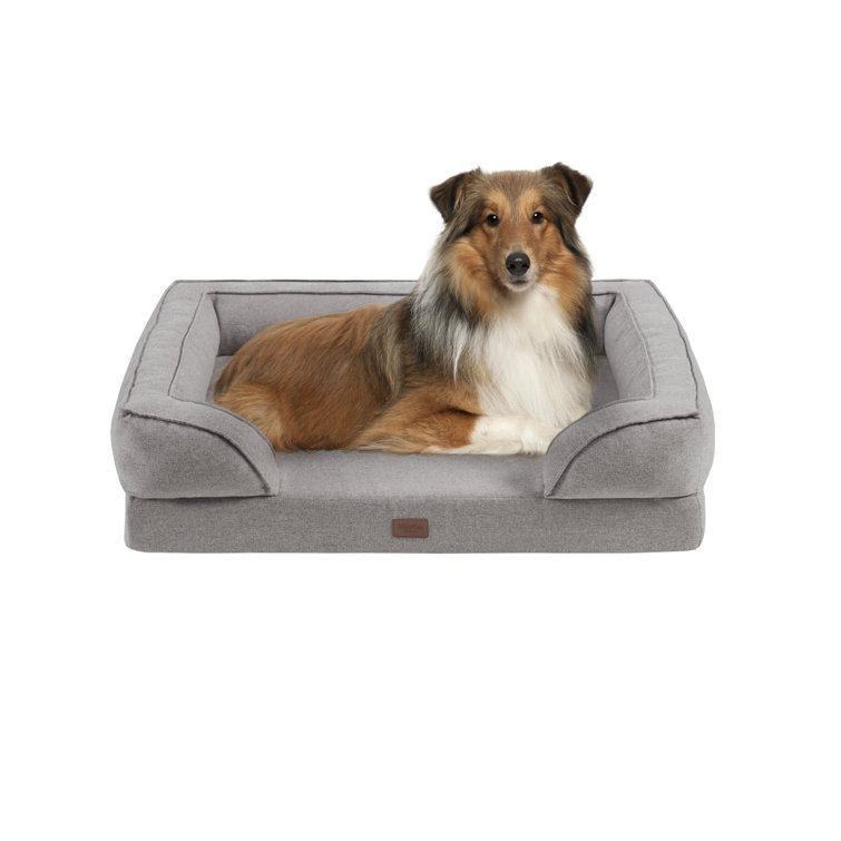 spot and bella elevated dog bed