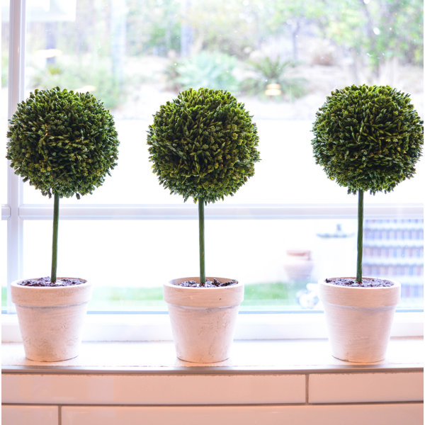 Faux Preserved Boxwood Floor Topiary In Pot Reviews Joss Main