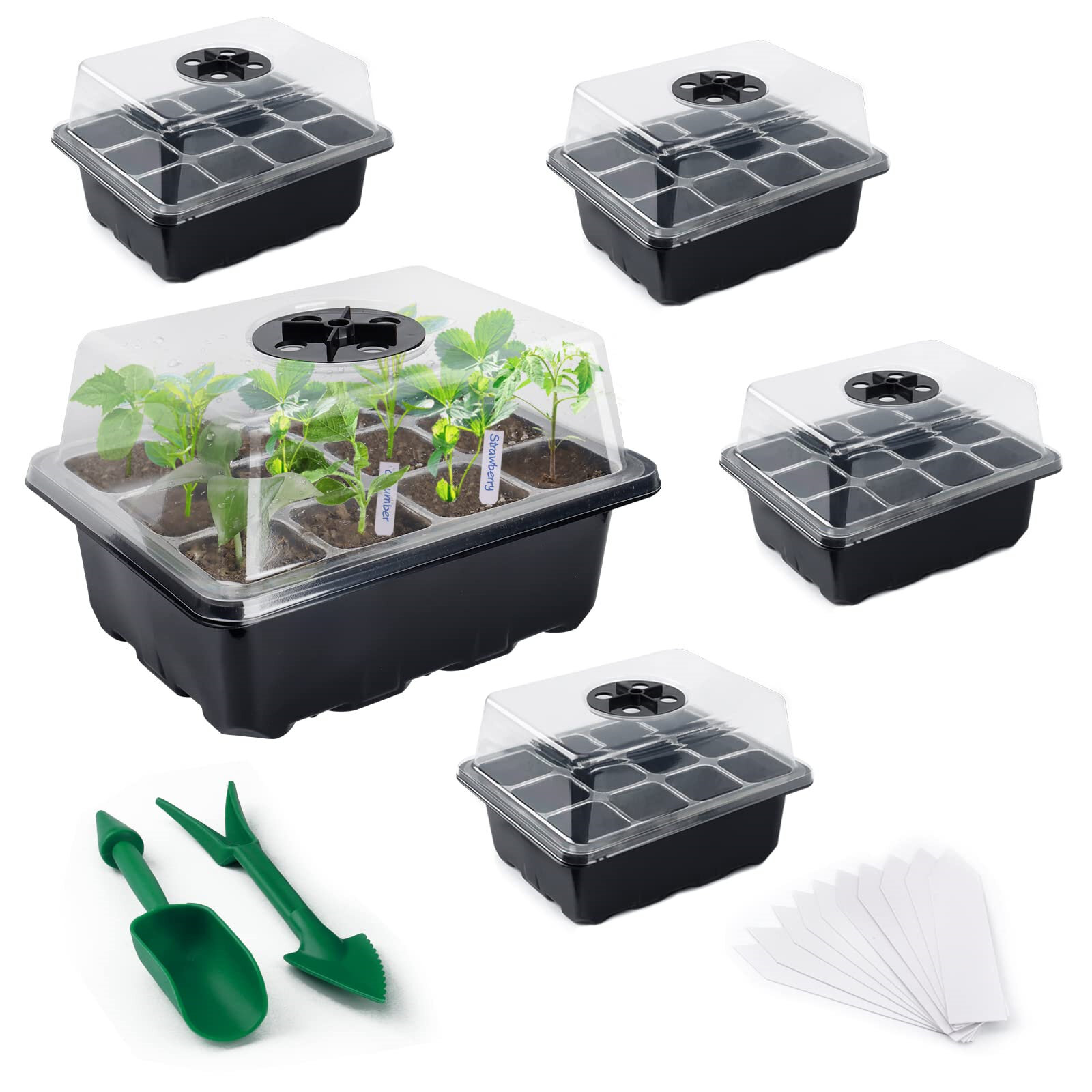 5 Pack Seedling Starter Trays 5 pcs Seed Starter Tray, Black 12 Cells Plant Germination Tray Seed Starter Kit Grow Plant Pots with Lid for Greenhouse Seeds Plant Growing