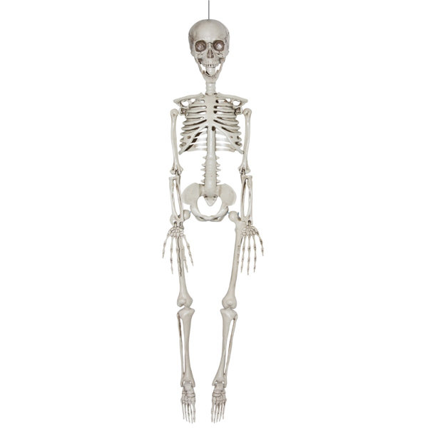 Skeleton Halloween Decorations | Wayfair