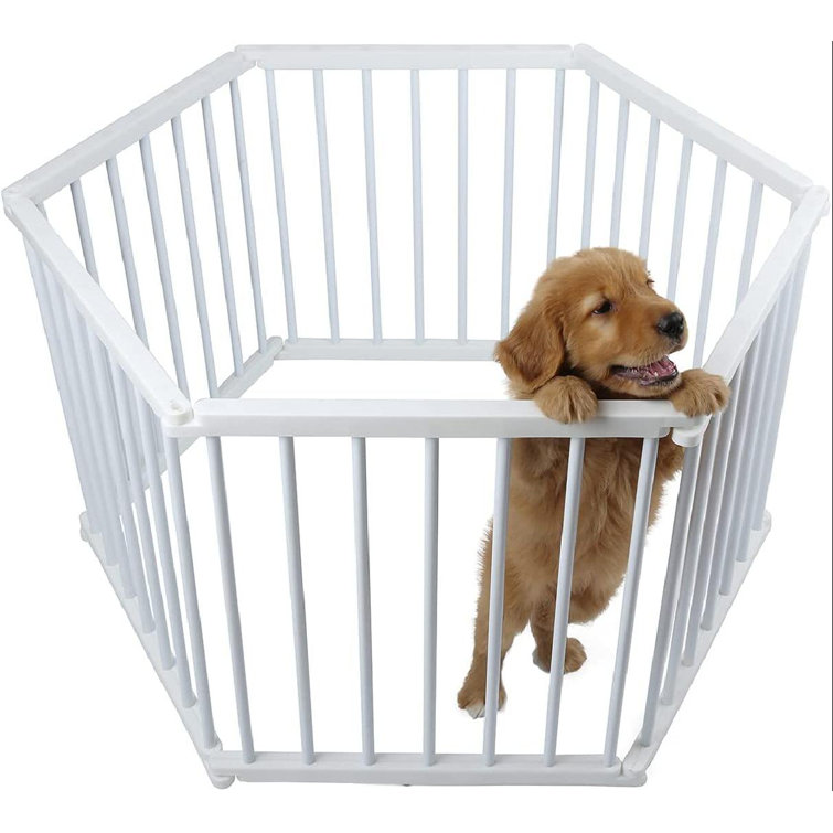 collapsible dog fence