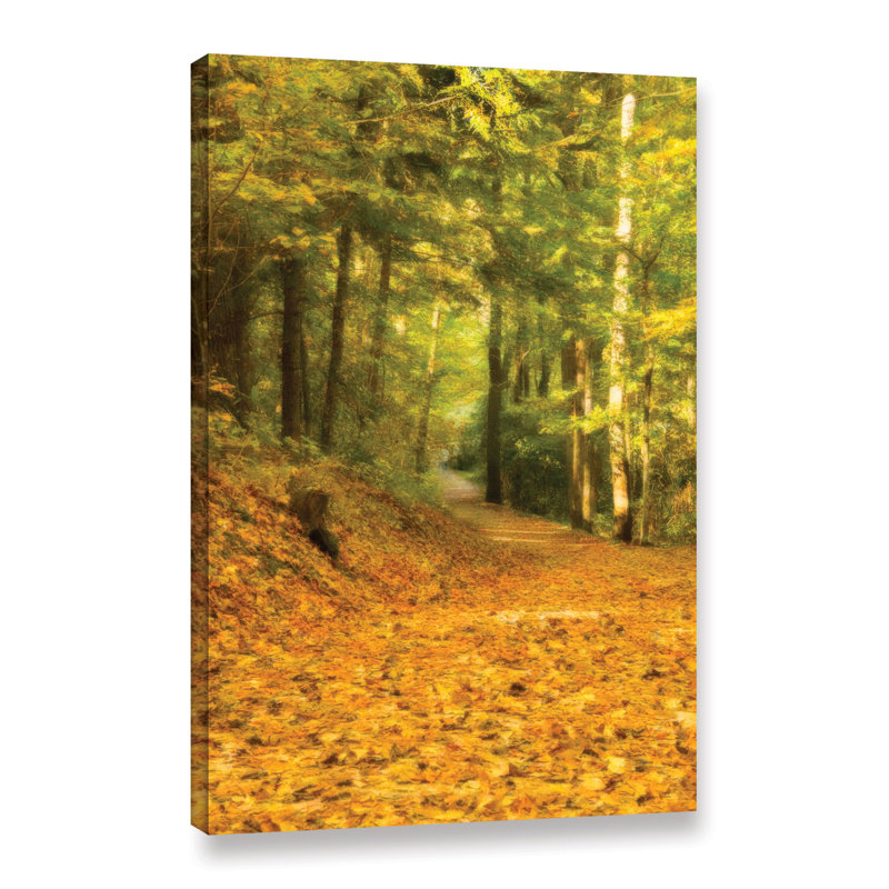 Charlton Home Forest Path Painting Print On Wrapped Canvas Wayfair