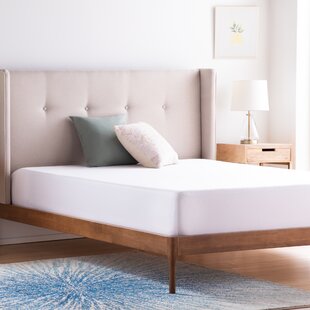 wayfair sleep pocket sprung mattress