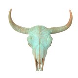 Modern Contemporary Animal Skull Wall Decor Allmodern