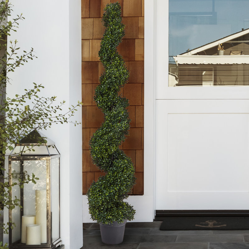 Pure Garden Spiral Boxwood Topiary In Planter Reviews Wayfair