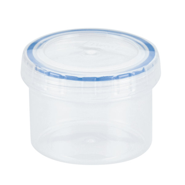 Large Food Storage Container Wayfair