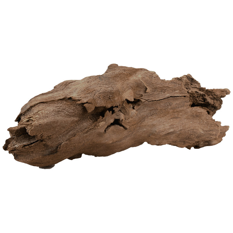 coweta real malaysian driftwood for aquarium fish tank decorations natural reptile wood branch trunk 18