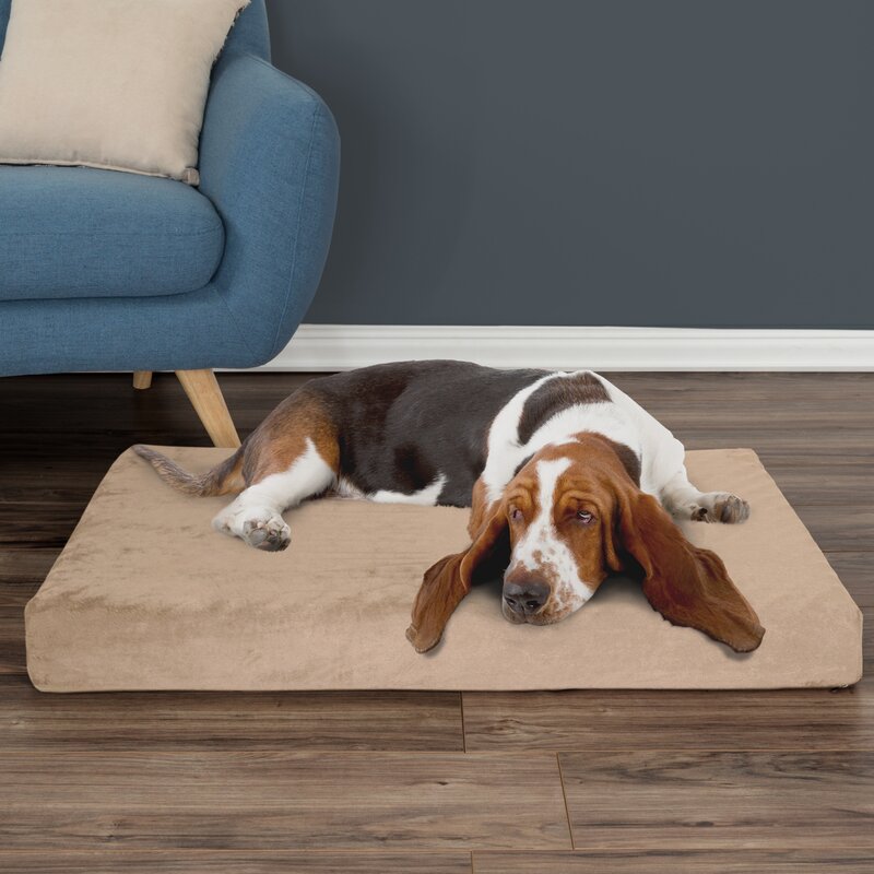 pet pad reviews