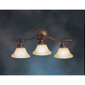 Callensburg 3-Light Vanity Light