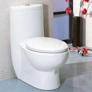Go to store & view more images EAGO Tall Dual Flush Elongated One-Piece Toilet