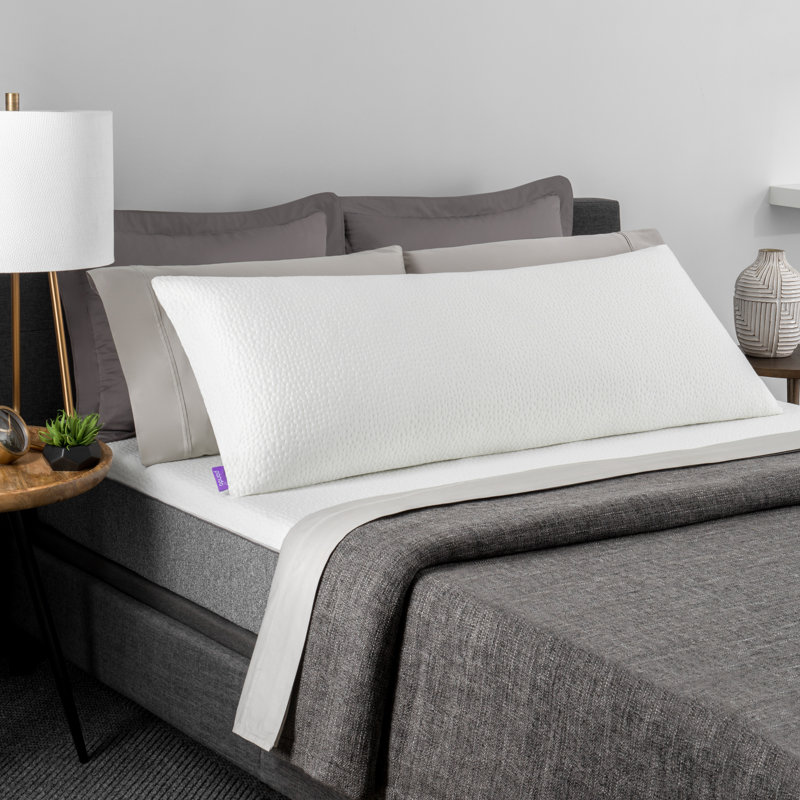 Solace Sleep Medium Memory Foam 20 W X 54 L Body Pillow Wayfair