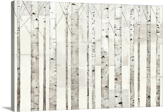 Great Big Canvas Birch Trees On White Avery Tillmon Graphic Art