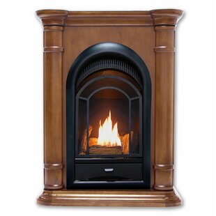 Hearthsense Vent Free Propane/Natural Gas Fireplace Insert By ProCom