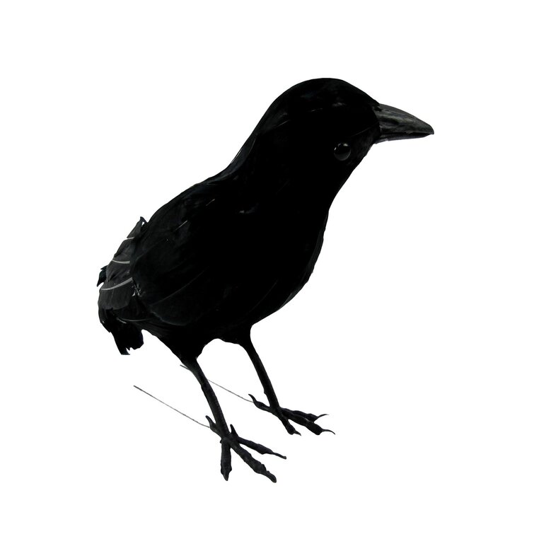 Black Lifesize Raven Movie Prop Fake Crow Halloween Fake Bird Hunting Decor Vi