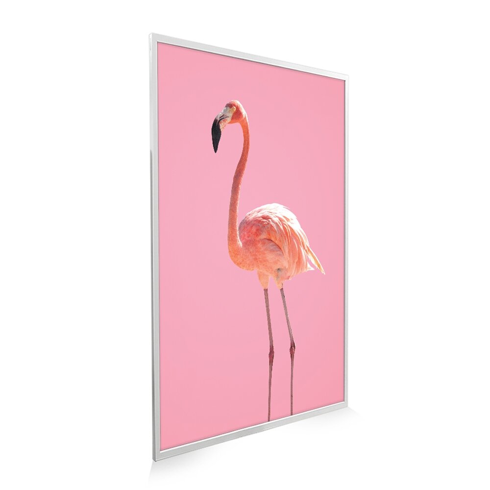 how update flamingo nxt
