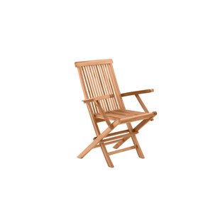 Mahesh Folding Garden Chair (Set Of 2) By Sol 72 Outdoor