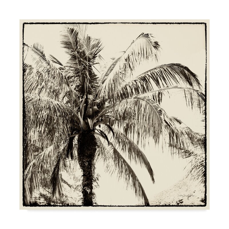 Bay Isle Home 'Palm Tree Sepia III' Graphic Art Print on Wrapped Canvas ...