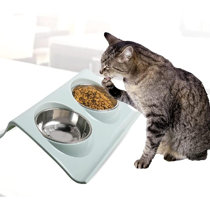 cat feeding trays