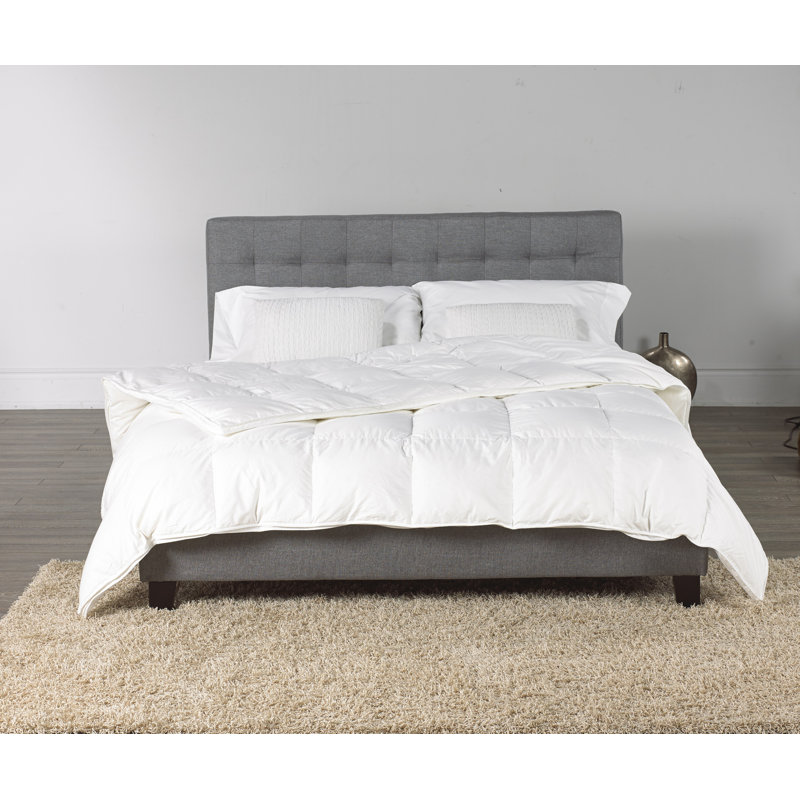 Luxury Premium Weight Down Comforter Reviews Joss Main
