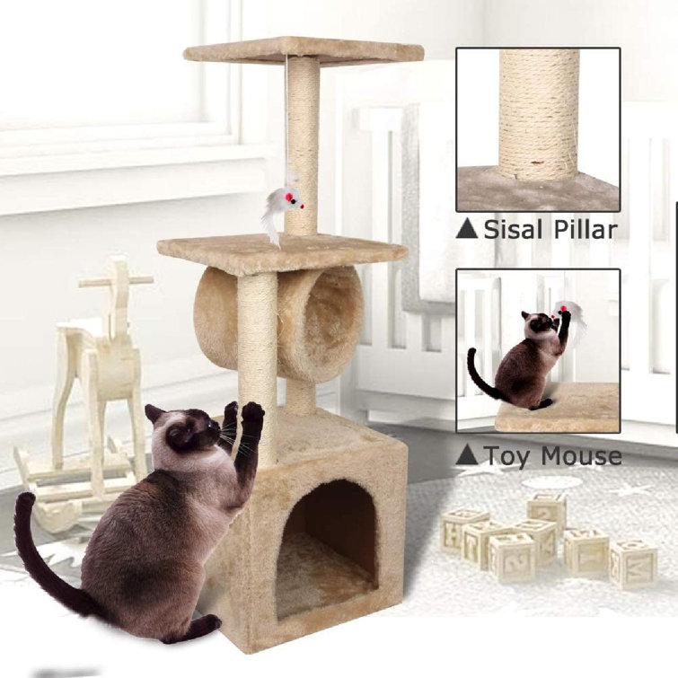 kitten climbing tower