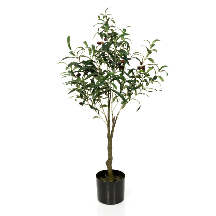 The Seasonal Aisle Floor Olive Tree In Pot Reviews Wayfair Co Uk