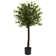 Faux Olive Trees Indoor 6 Feet