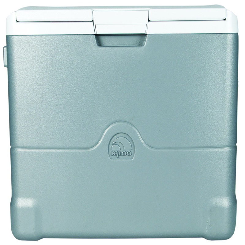 40 quart electric cooler
