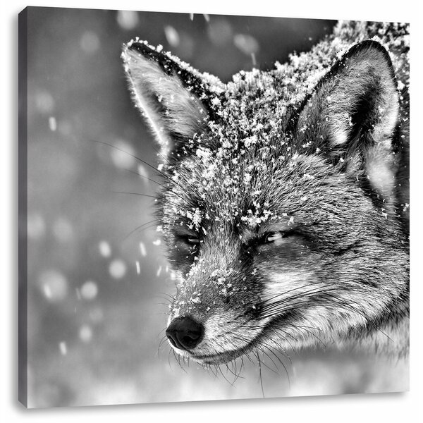 East Urban Home Leinwandbild Fuchs im Schnee Wayfair.de