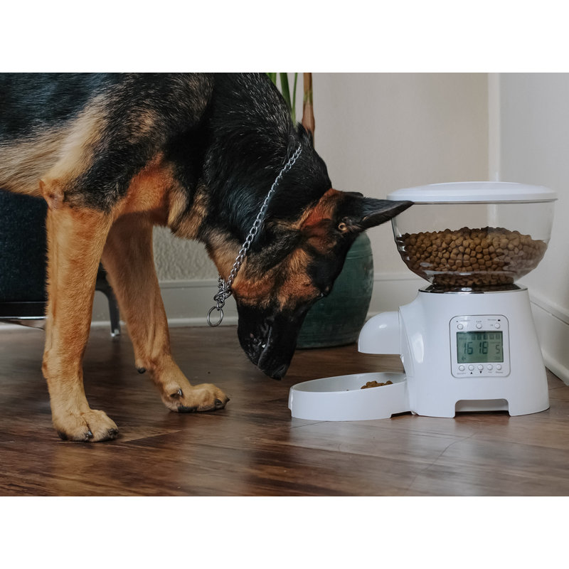 Paws Pals Electronic Timer Programmable Dog Single Automatic
