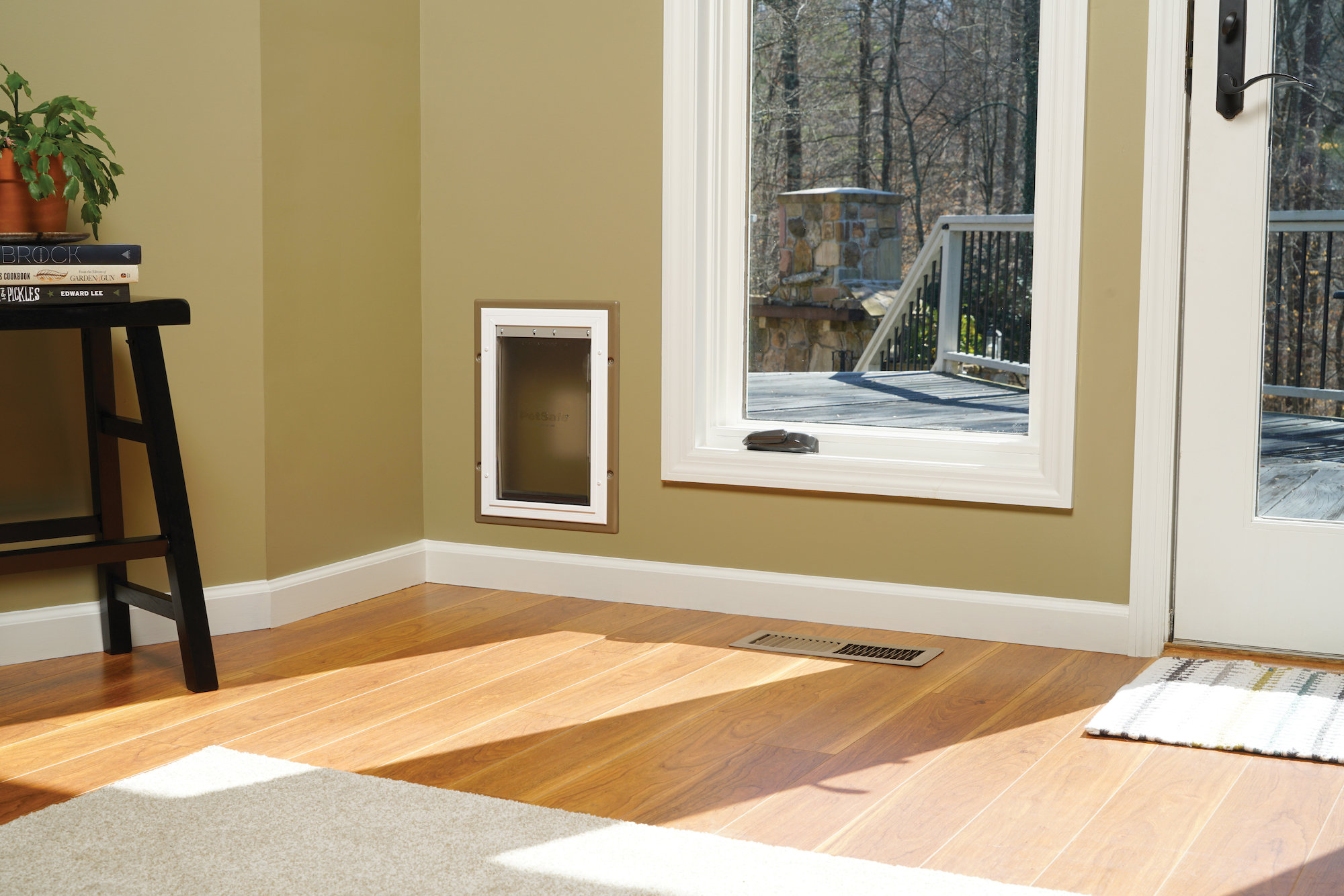 Petsafe Wall Entry Pet Door Flap Wayfair