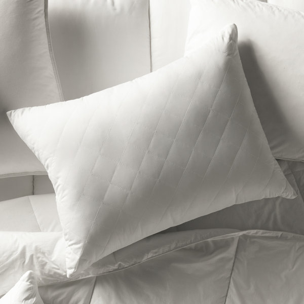 Extra Long Bed Pillow Wayfair