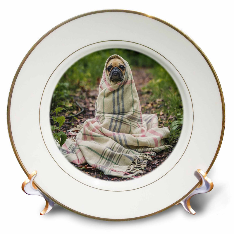 East Urban Home Image Of Pug Puppy In Plaid Blanket Porcelain Decorative Plate Wayfair