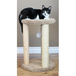 Delphine Cat Scratcher