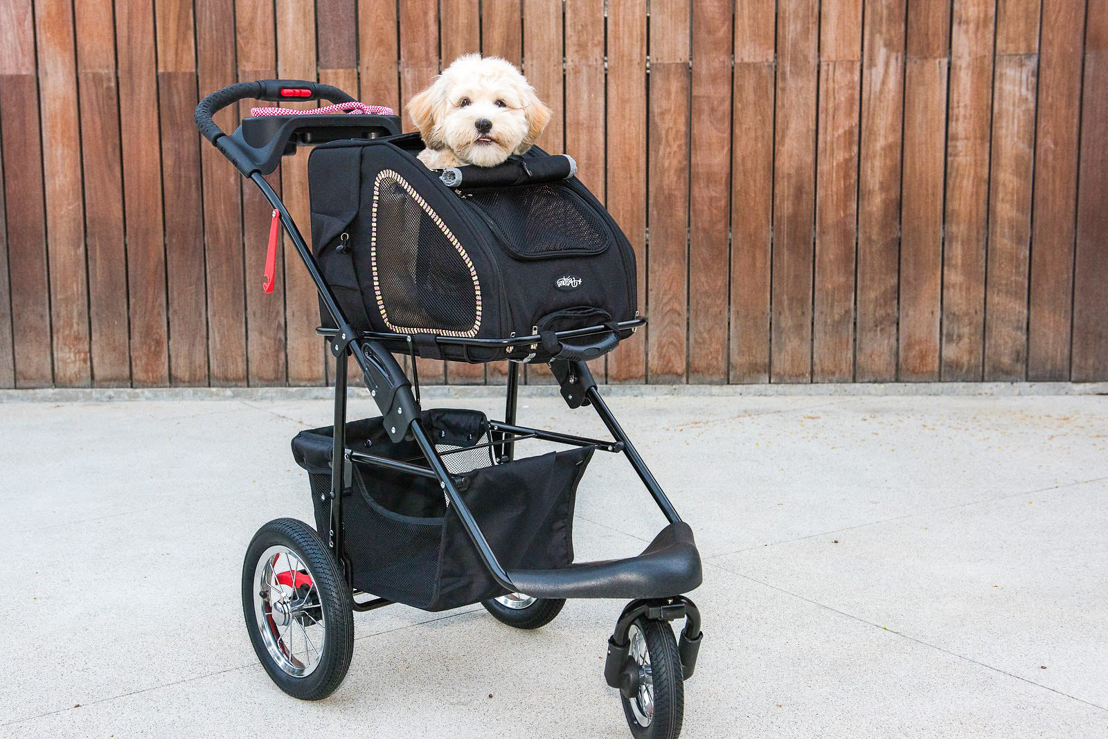 Petique Pet Stroller, Black, One Size, Frame Only Wayfair