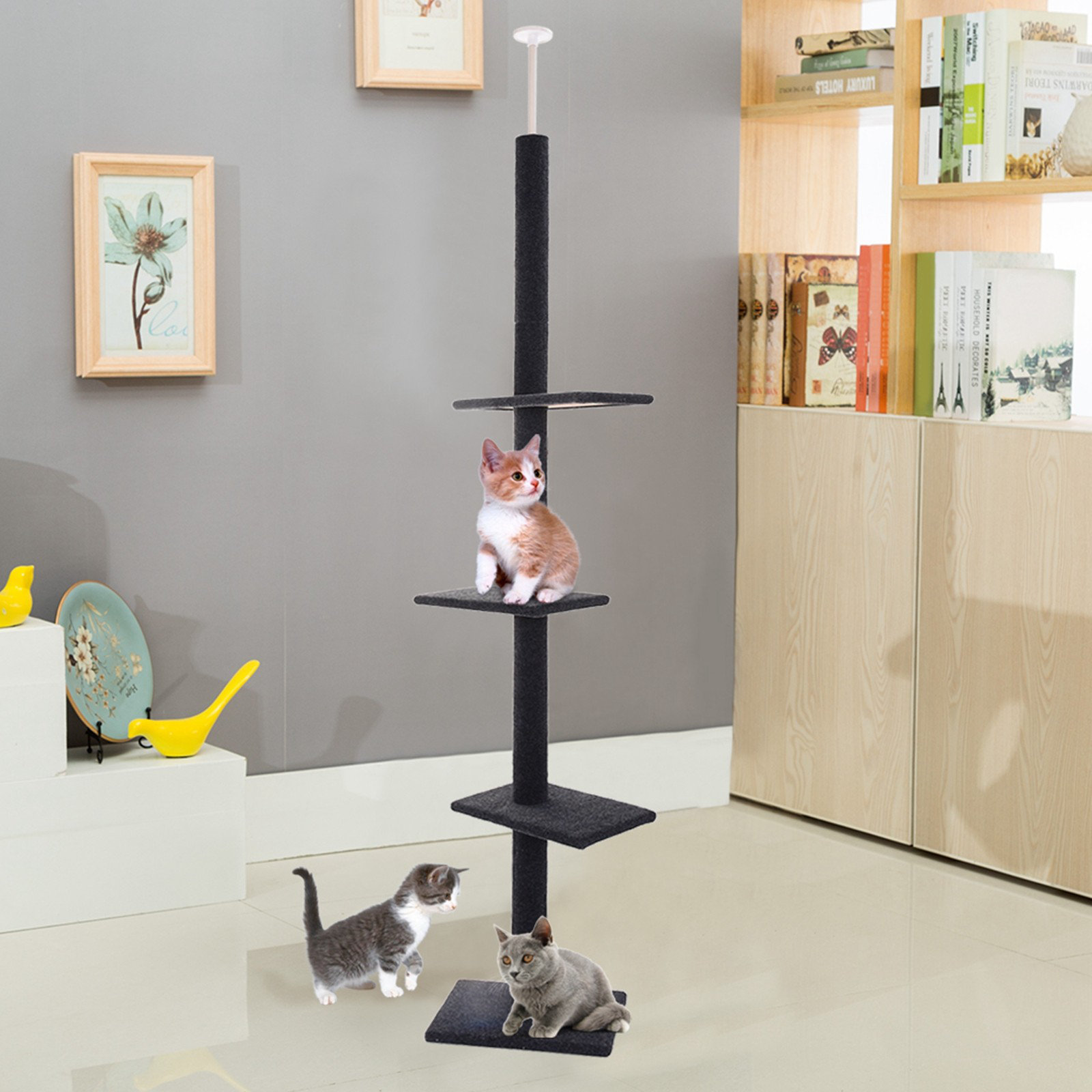 cat climbing structures