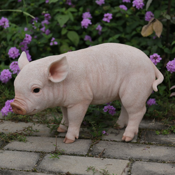 Hi Line Gift Ltd Statue Bebe Cochon Debout Et Commentaires Wayfair Ca