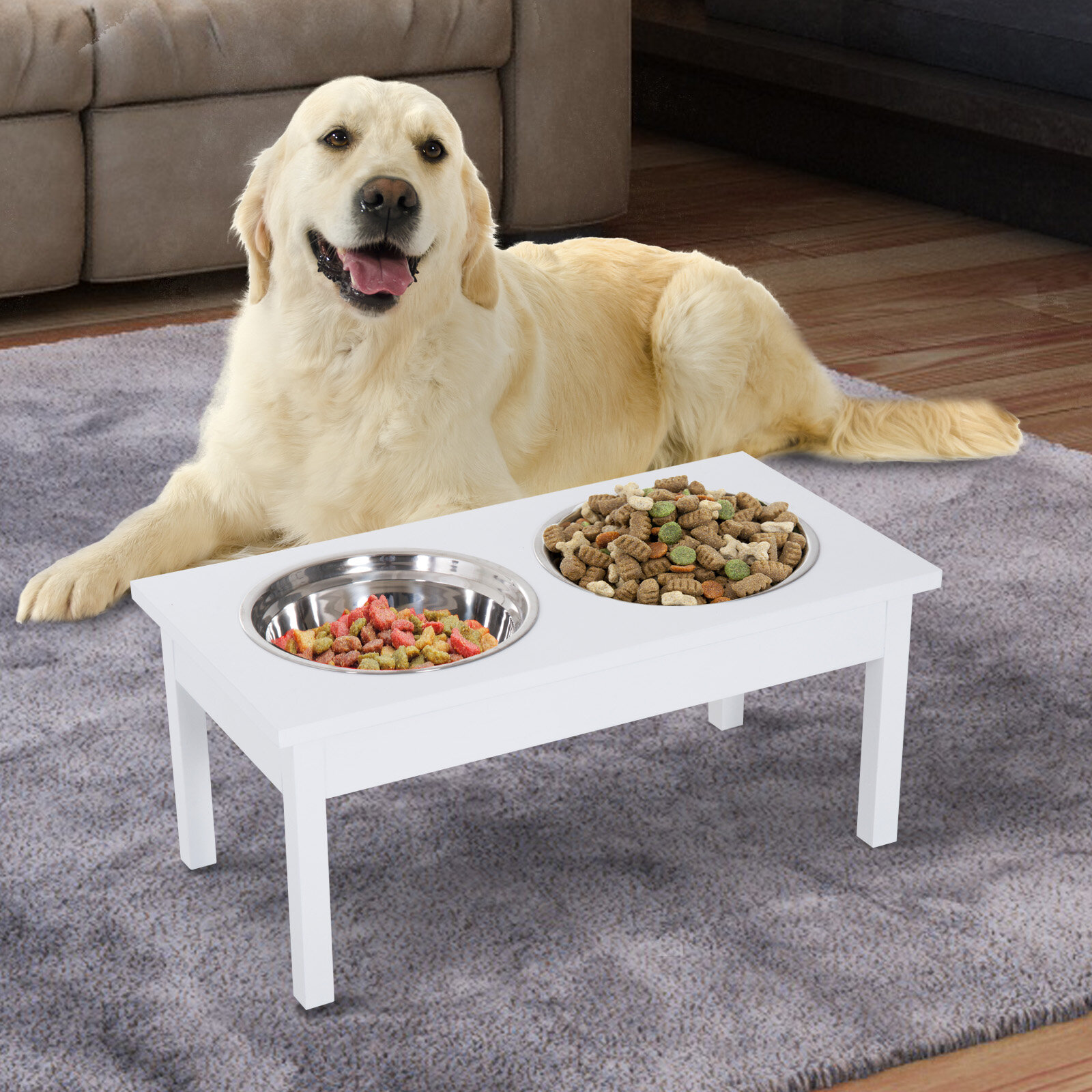 dog food feeders bowls