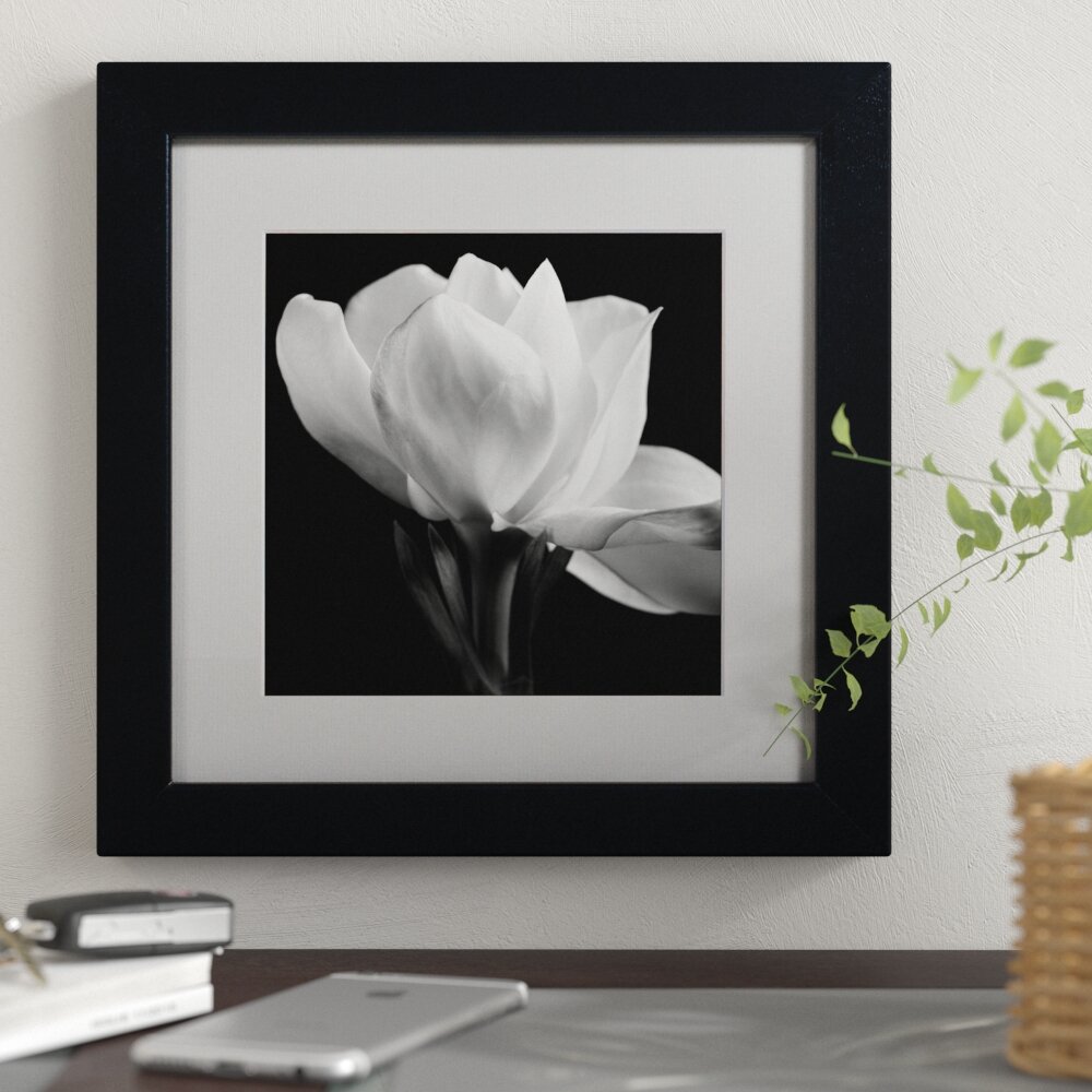 Winston Porter Gardenia by Michael Harrison - Picture Frame Photograph ...