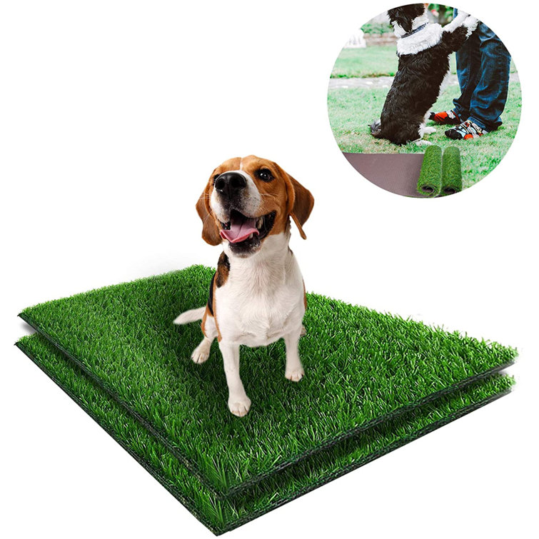 grass scented pee pads