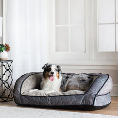 boy dog beds