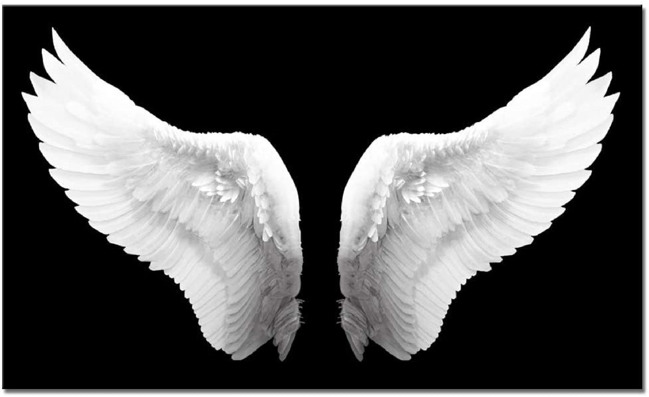 12"x20"Skull Angel Wings White Home Decor HD Canvas Print Picture Wall Art