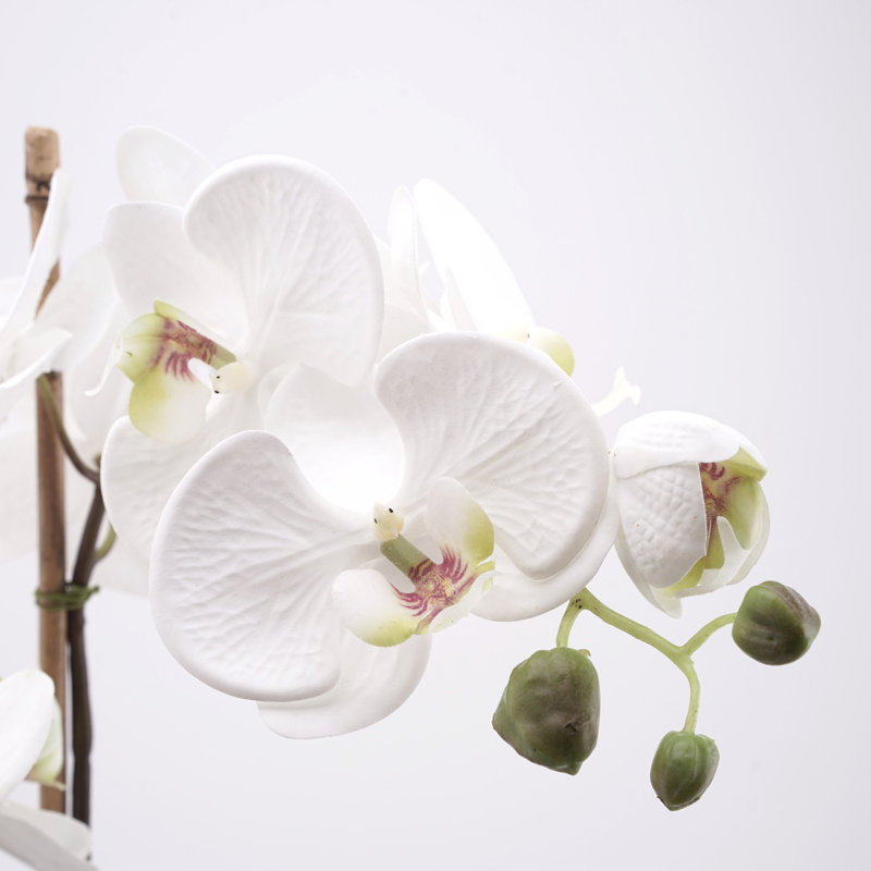 Bloomsbury Market Faux Triple Phalaenopsis Orchid Floral Arrangement In Ceramic Vase Reviews Wayfair
