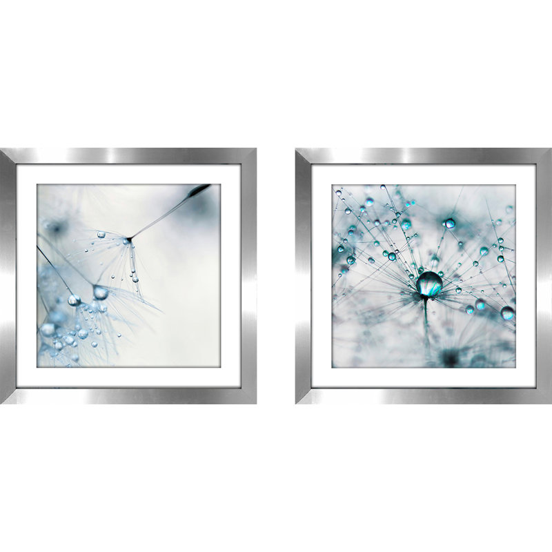Latitude Run Baby Blue 2 Piece Framed Photographic Print Set Reviews Wayfair