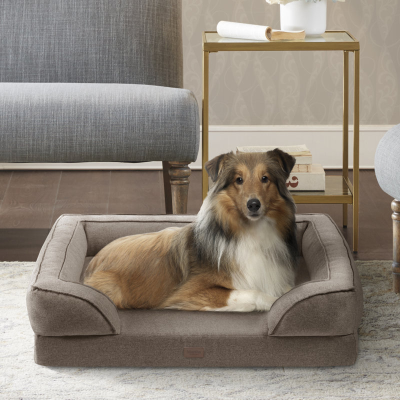 wayfair extra large dog beds