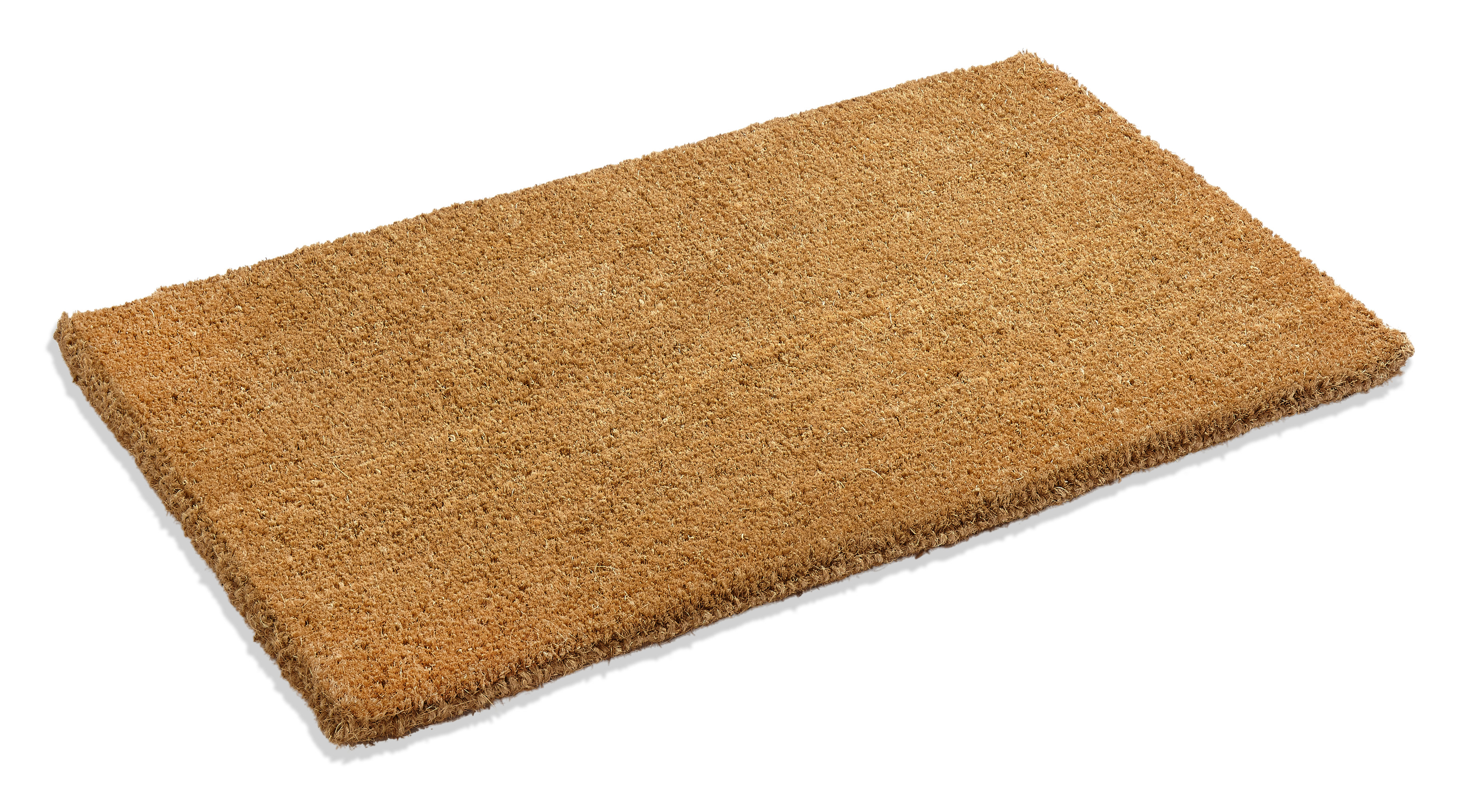 Galentine Plain Indoor Door Mat Reviews Joss Main