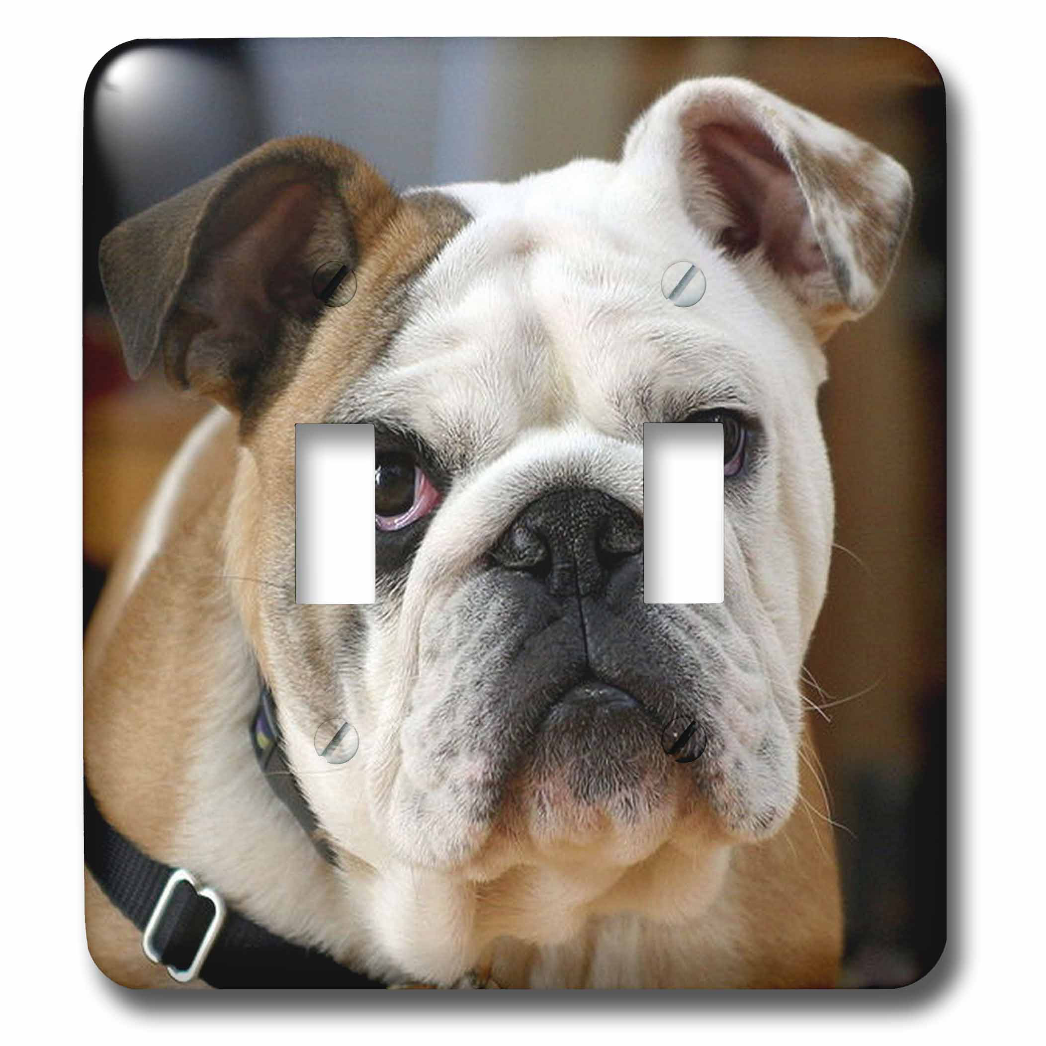 3drose American Bulldog 2 Gang Toggle Light Switch Wall Plate Wayfair