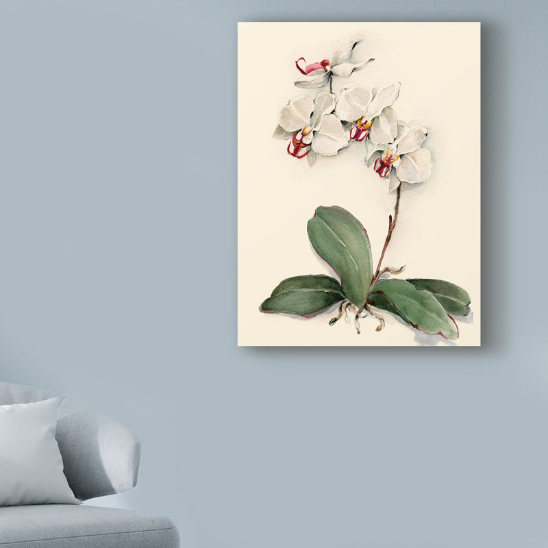 Charlton Home Phalaenopsis Red Throat Orchid Acrylic Painting